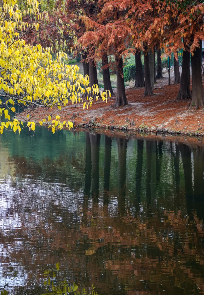 世界湿地日｜守护共生的湿地遗产